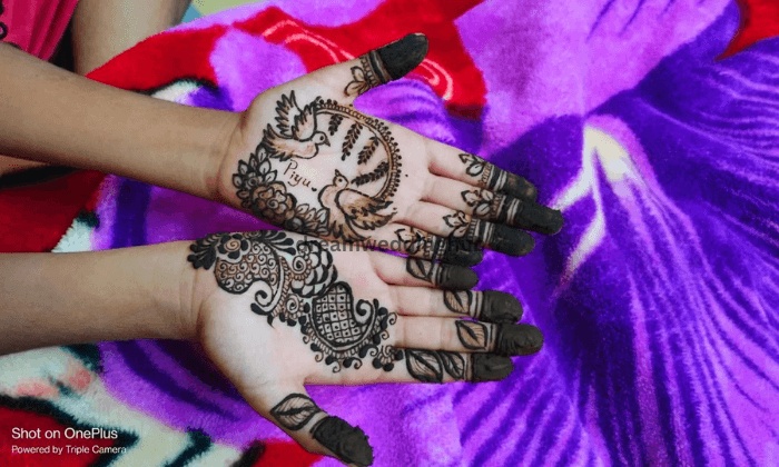 Mehandi Art Mehandi Art