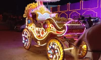 Pappu Dhol Master Pappu Dhol Master