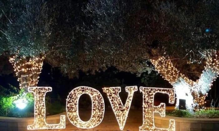 The Event Platform The Event Platform