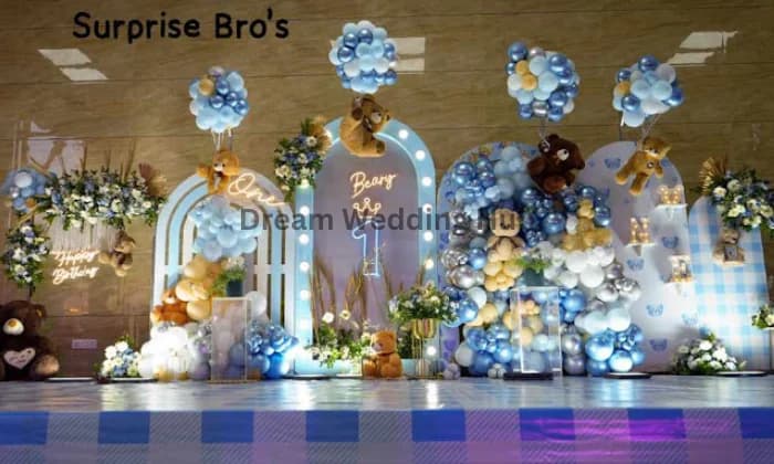 Surprise Bros Surprise Bros