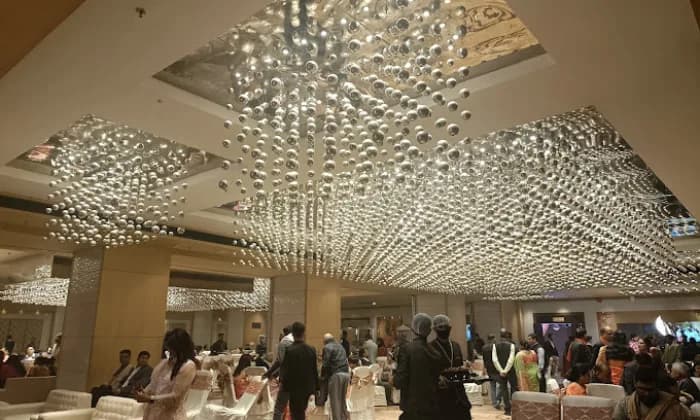 Delight Grand Delight Grand