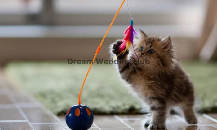 Shine Beauty parlour Shine Beauty parlour