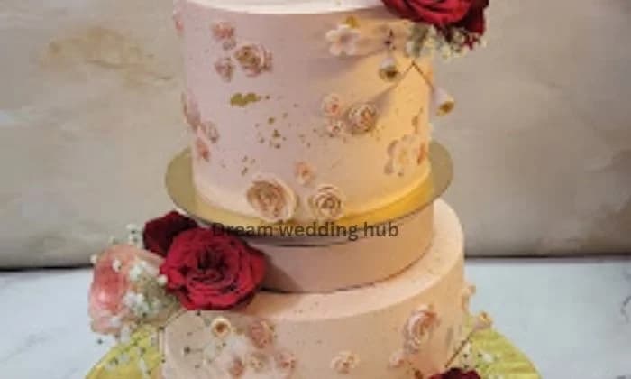 Ammy Bakery Raipur Ammy Bakery Raipur