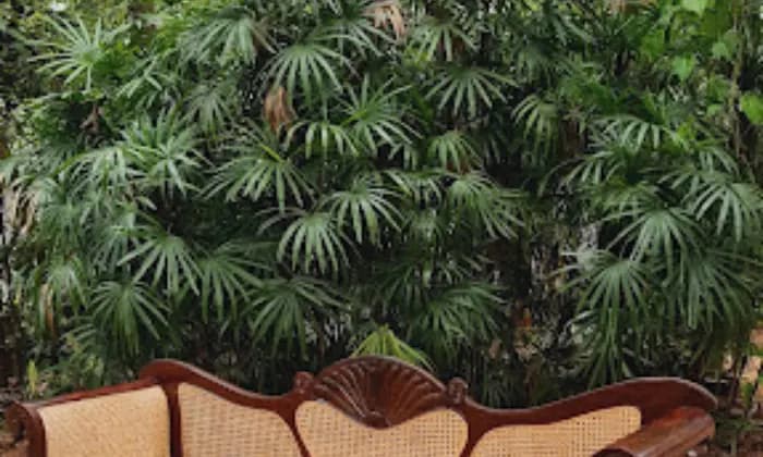 Decoration Zone Furniture Hirer Decoration Zone Furniture Hirer