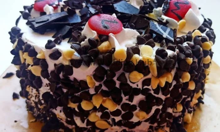 JUST BAKE Kolar JUST BAKE Kolar