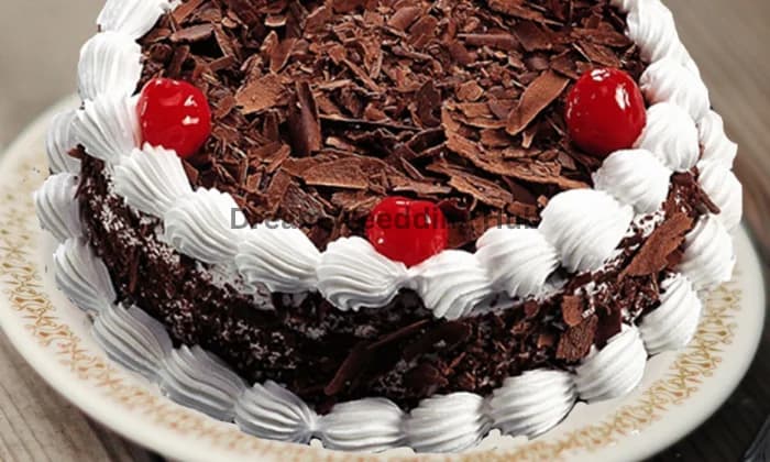 Revelen Bakery Revelen Bakery