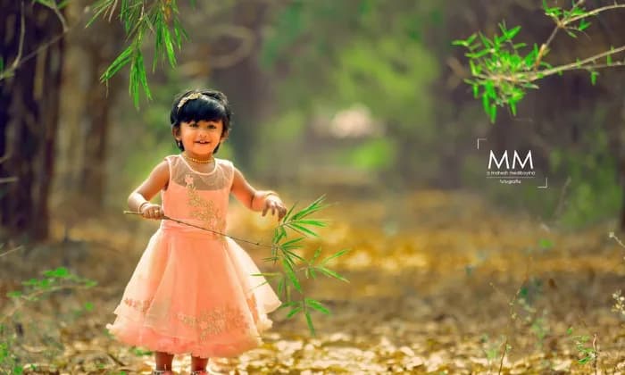 AK Dream Photography AK Dream Photography