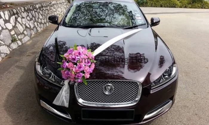 BK TOUR AND TRAVELS RAIPUR BK TOUR AND TRAVELS RAIPUR