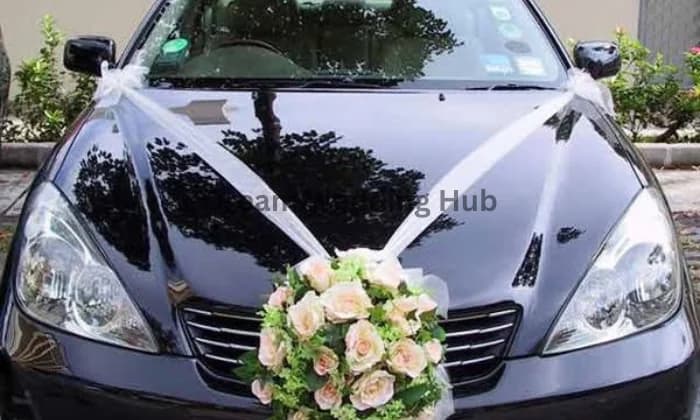 Raahi Tour and Travel Raahi Tour and Travel