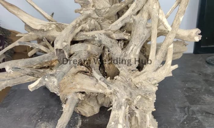 Hindu Priest Hindu Priest