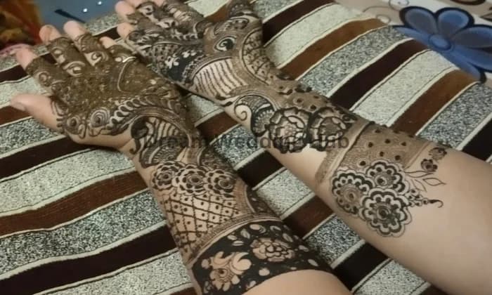 Aamena Mehendi Artist Vadodara Aamena Mehendi Artist Vadodara