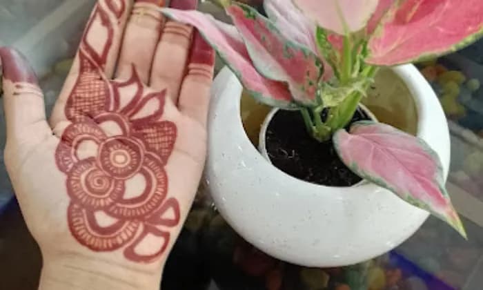 Suraj Tattoo And Mehandi Art Suraj Tattoo And Mehandi Art