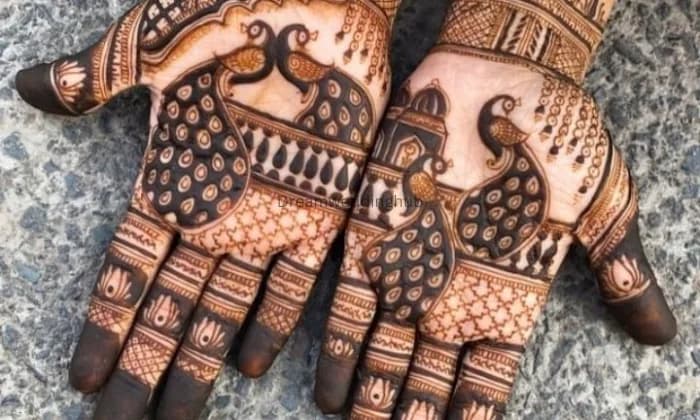 RK Mehandi Studio Jaipur Top Bridal Mehendi Artist Home Service All India Booking Mehandi Classes RK Mehandi Studio Jaipur Top Bridal Mehendi Artist Home Service All India Booking Mehandi Classes