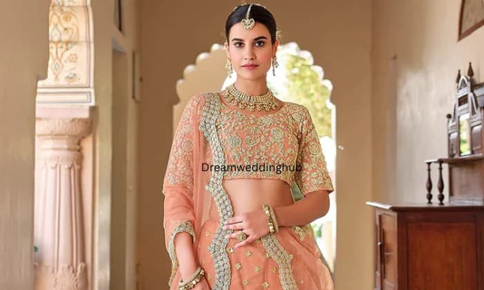 Rajgir Dresses Rajgir Dresses