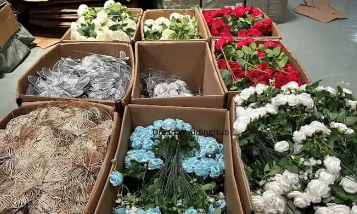 Wellness Trading Company Wellness Trading Company