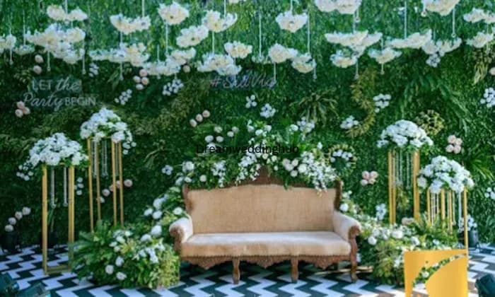 DS party plot DS party plot