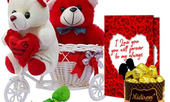 Wrap N Go Gifts Toys Wrap N Go Gifts Toys