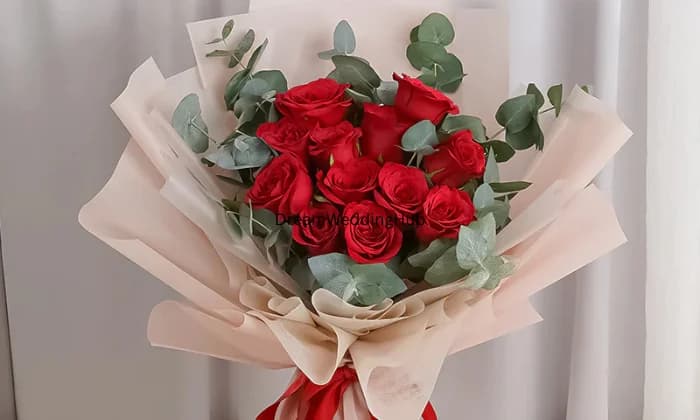 Choconova Bakery Choconova Bakery