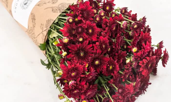 ANANDI GIFT AND PARTY ANANDI GIFT AND PARTY