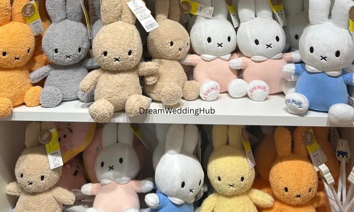 Rainbow Impex Rainbow Impex