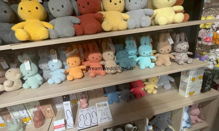 Riyansh Gift Gallery Riyansh Gift Gallery