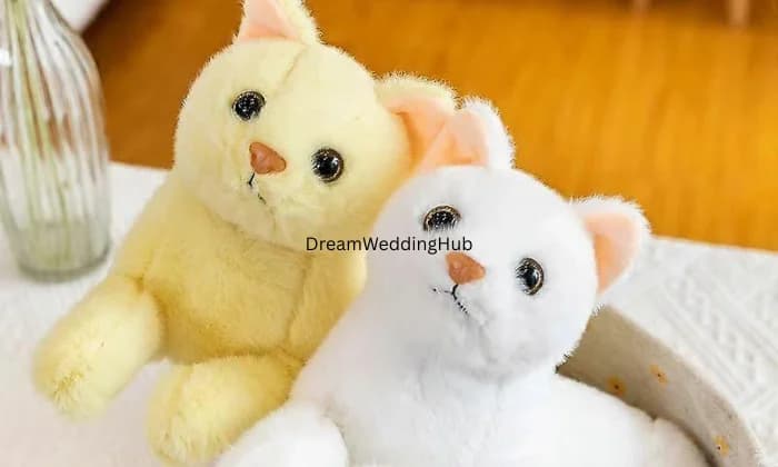 KG Gift point KG Gift point