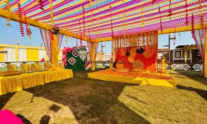 Elegant Greens Elegant Greens