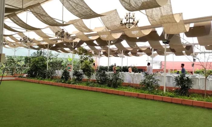 The Peacock Grove The Peacock Grove