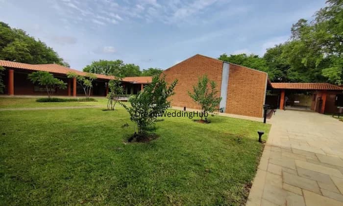 The Secret Grove The Secret Grove