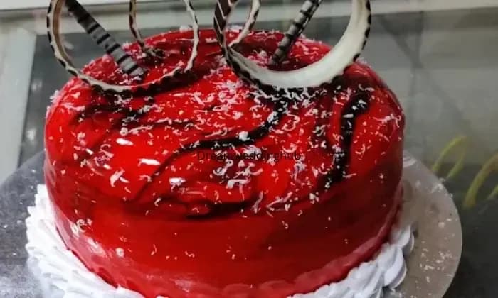 The Sugarr Spice The Sugarr Spice