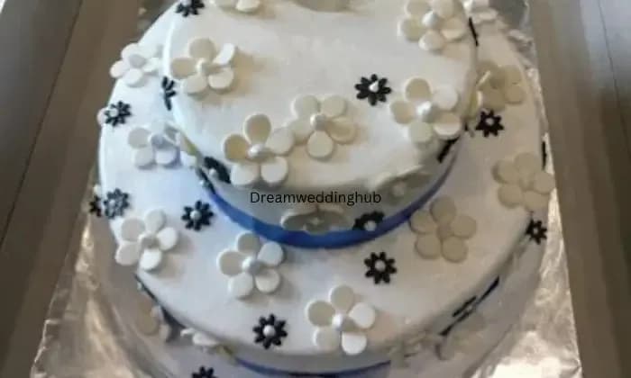 Cocoa Wonderland Cocoa Wonderland