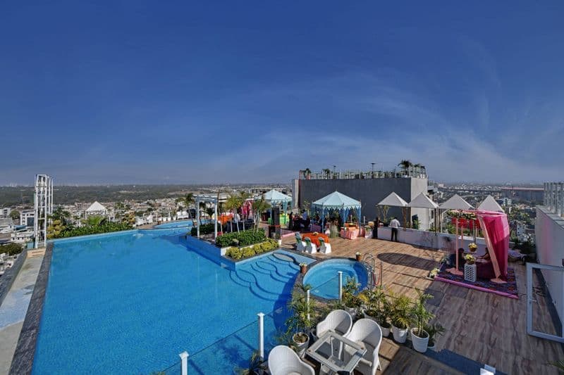 The Fern Habitat The Fern Habitat