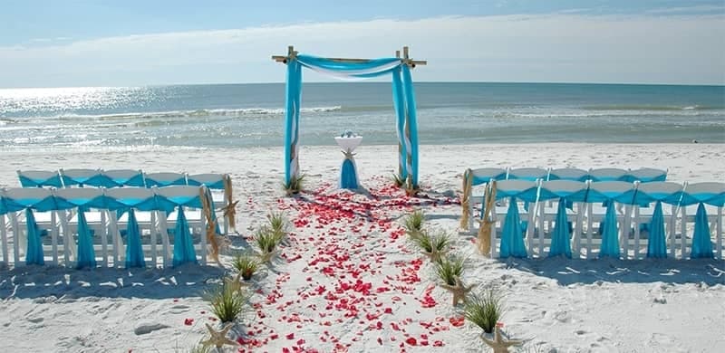 Golden Tree Wedding Golden Tree Wedding