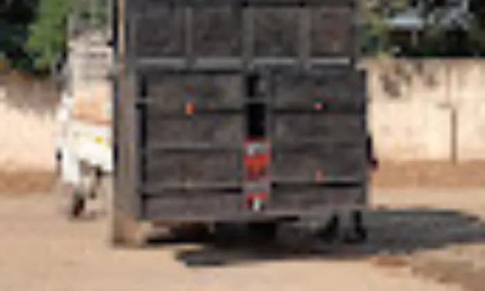 Mahadev Dj Sound Mahadev Dj Sound