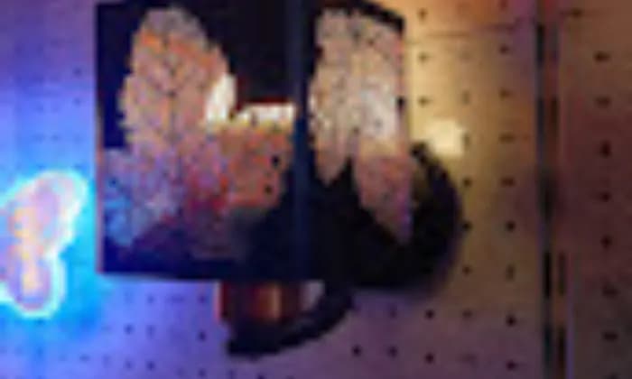 Singh Lights Electrical Singh Lights Electrical