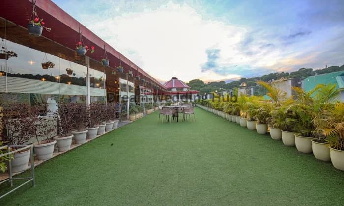 Gk Conifer Gk Conifer