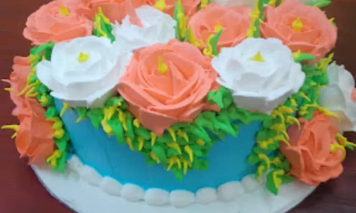 SN Health Care SN Health Care