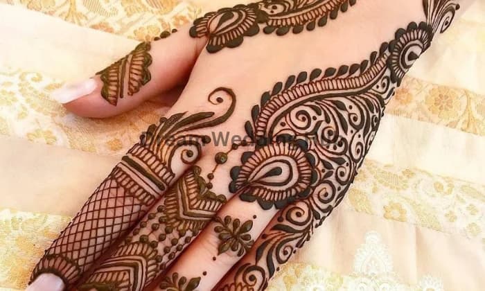 aaliyas Mehandi aaliyas Mehandi
