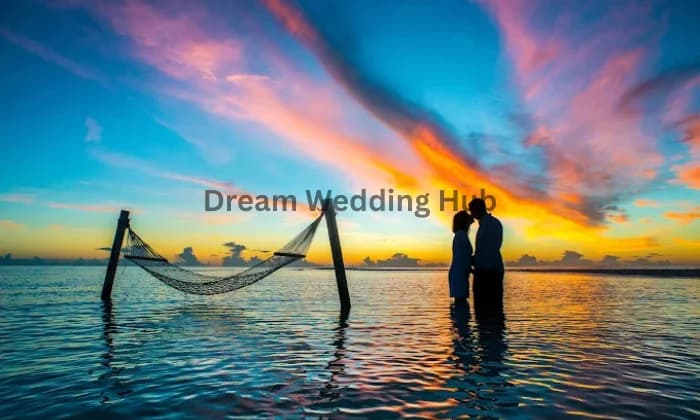 Bee Bee Videos Bee Bee Videos