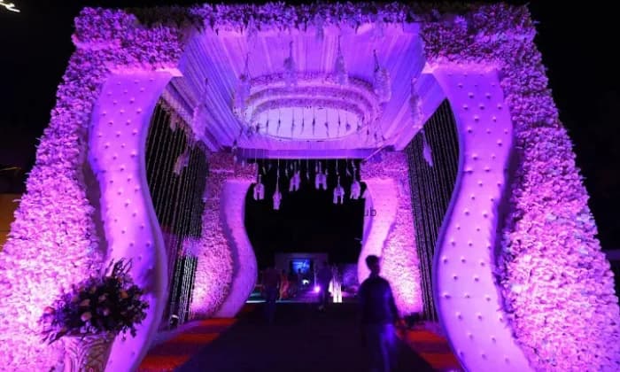 ADONIS By Anusha Mody ADONIS By Anusha Mody