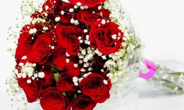 FloraGifts FloraGifts