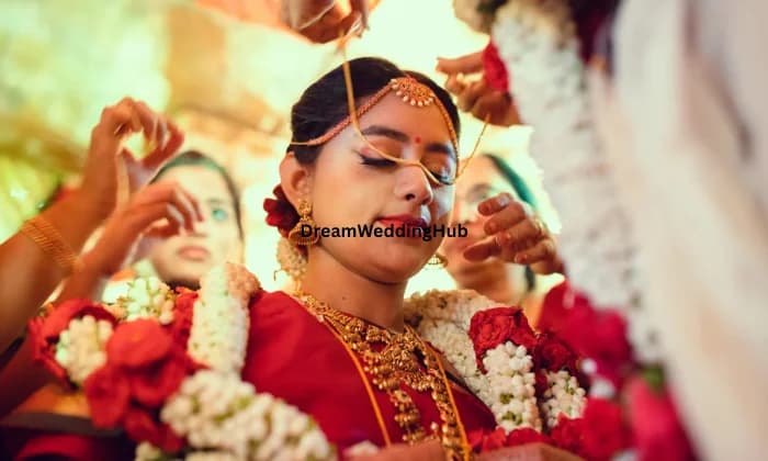 Vandana Creations Nx Vandana Creations Nx