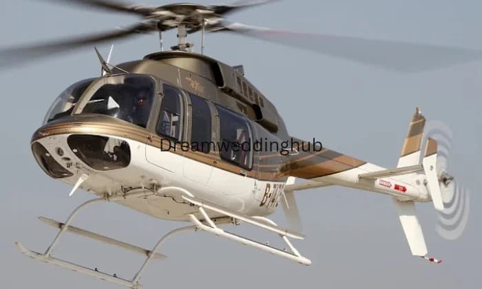 Flying Birds Aviation Flying Birds Aviation