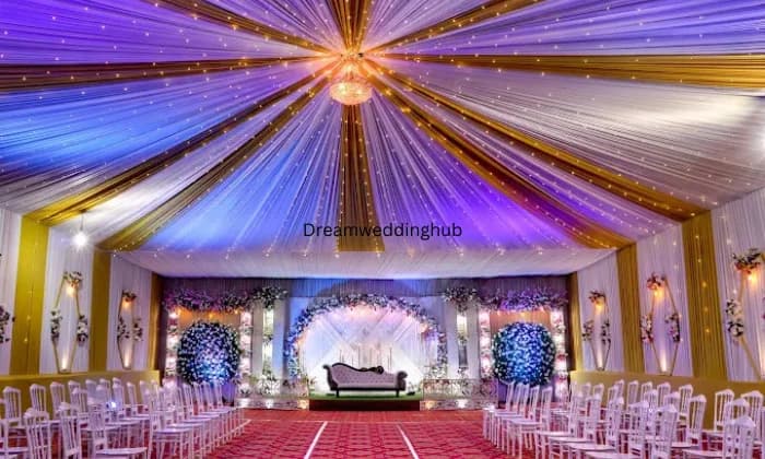 The festive garden The festive garden