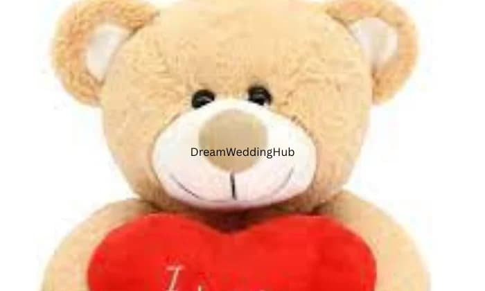 Roviza Shop Shankarpura Roviza Shop Shankarpura