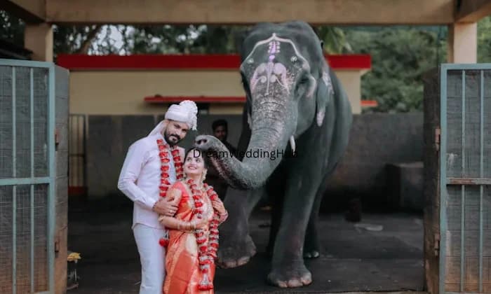 Sweetonpinto Photography Sweetonpinto Photography