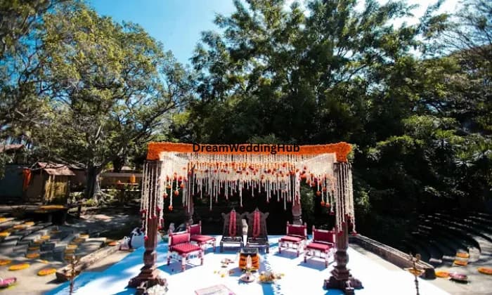 Purplerings Purplerings