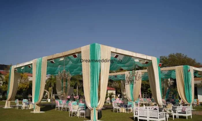 Iris Garden Iris Garden