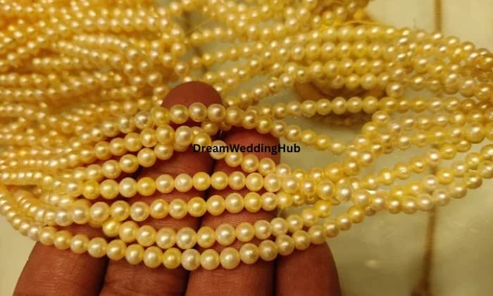 Shree Sai Gold Palace Shree Sai Gold Palace