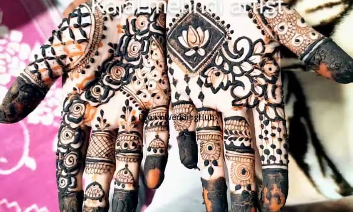 Chittorgarh mehandi Chittorgarh mehandi